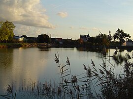 The lake in Les Cerqueux