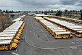 American school buses