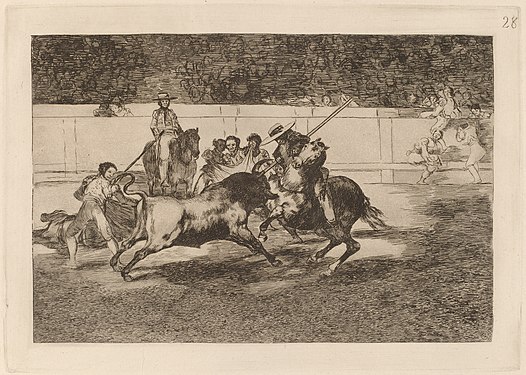 28. Español: El esforzado Rendon picando un toro, de cuya suerte murio en plaza de Madrid English: The Forceful Rendon Stabs a Bull with the Pique, from Which Pass He Died in the Ring at Madrid