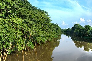 Sungai Kolong.