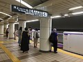 Hanzomon Line platforms, 2020