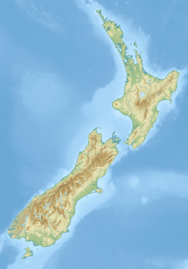 Relief map of New Zealand, with a red dot half way down the south island to show the location of Douglas Glacier