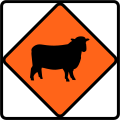 (TW-6.1) Watch for large animals (sheep)