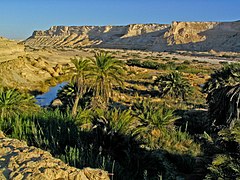 Un oasis en Omán.