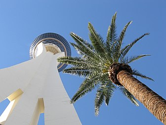 La tour, surmontée d'un restaurant tournant, du Stratosphere Las Vegas, un complexe hôtel-casino situé sur le Strip à Las Vegas (Nevada, États-Unis). (définition réelle 3 072 × 2 304)
