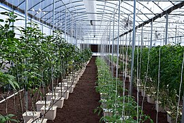 Ascension Island’s hydroponics lab is revitalizing life on the volcanic island (190807-F-AO460-1004).jpg