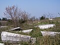 Jewish cemetery