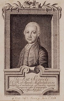 Giovanni Antonio Scopoli.