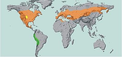 Carte figurant l'aire de répartition du doryphore