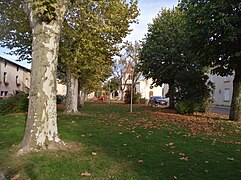 Pradines - Place des Platanes.jpg