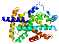 Thumbnail for Peroxisome proliferator-activated receptor alpha