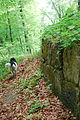 Sarmizegetusa Regia/Reședință regală (Fdalijiet tal-ħajt/Rest of the Dacian Wall/Restos de la Muralla Dacia)