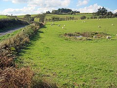 Small pond near the Llangunllo lane - geograph.org.uk - 2238121.jpg