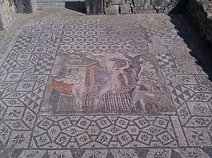 Mosaic of Diana in the House of Venus