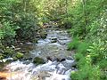 Washington Township, White Deer Hole Creek near Fourth Gap