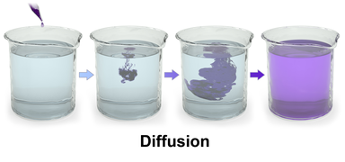 Blausen 0315 Diffusion.png