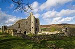 Ruins of Cartington Castle