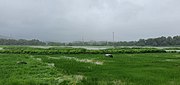 Camurlim Fields from NH17 road