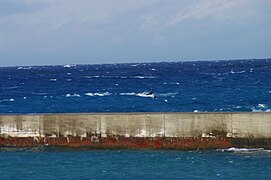 North Pacific Right Whale, Niijima, March 2, 2011 by Aramusha H.jpg