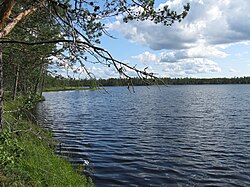 Järven pohjoisrantaa kaakkoon päin.