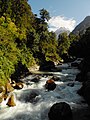 Pindari river from Dwali