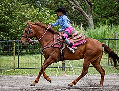 Rodeo in Panama 11.jpg