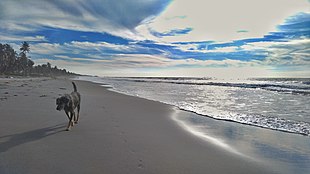 Playa en San Bernardo del Viento