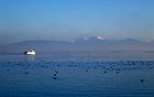 Chiemsee văzut iarna