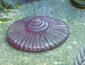Cyclomedusa (medusoide)