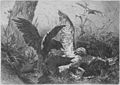 Die Gartenlaube (1869) b 229.jpg Der Hühnerhabicht im Kampfe mit Krähen. Originalzeichnung von C. F. Deiker (S)