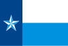 Flag of Dallas County