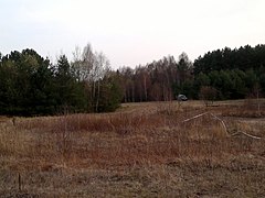 G. Ladushkin, Kaliningradskaya oblast', Russia - panoramio (16).jpg