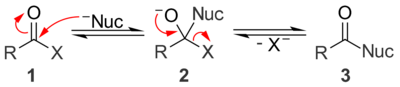 A general mechanism for base catalyzed nucleophilic acyl substitution