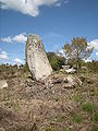 Menhir de Quellenec appelé également Menhir du Paotr Saout (Garçon Vacher).