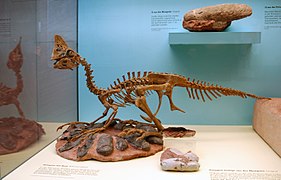 Oviraptor