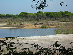Doñanan kansallispuisto