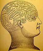 Frenološko mapiranje mozga