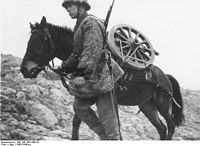 Горнострелковые войска СС перевозят горное орудие (1942 год)
