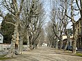 Viale ciclopedonale su Corso Martiri della Libertà