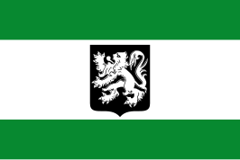 ? Vlag van Merksplas