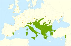 Description de l'image Fraxinus ornus range.svg.