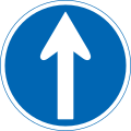 (311-C)指定方向外通行禁止