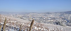 Lörrach in winter