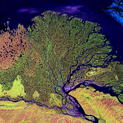 Nasa-Satellietbeeld van die Lenarivierdelta. Saamgestelde valskleurbeeld bestaande uit kortgolfinfrarooi, infrarooi- en rooi-golflengtes.