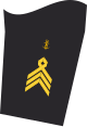 Ärmelabzeichen Dienstanzug Marineuniformträger 30er Verwendungsreihen