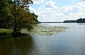 Lake Talquin, Florida, viewed from SW; Oct 2007.