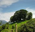 Paisaje camino al volcán Poás.