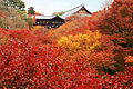 Tofukuji / 東福寺 (National Treasure)