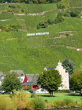 Ürzig, vineyard