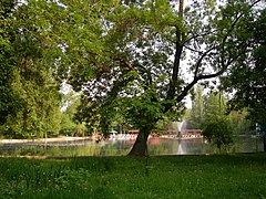 Fountain on Cișmigiu Lake